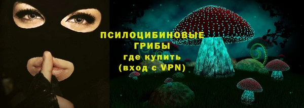 МДПВ Лагань