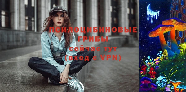 первитин Ладушкин