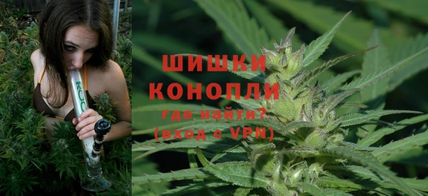 МДПВ Лагань