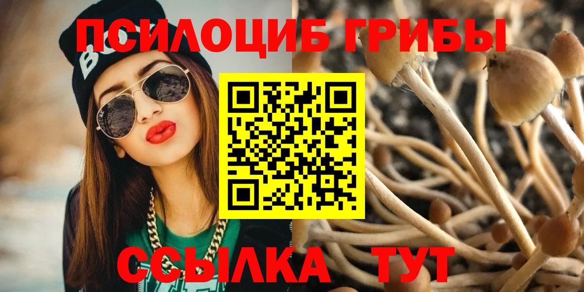 Псилоцибиновые грибы Psilocybe  Вход с VPN  где найти   Феодосия  Псилоцибиновые грибы Psilocybine cubensis 
